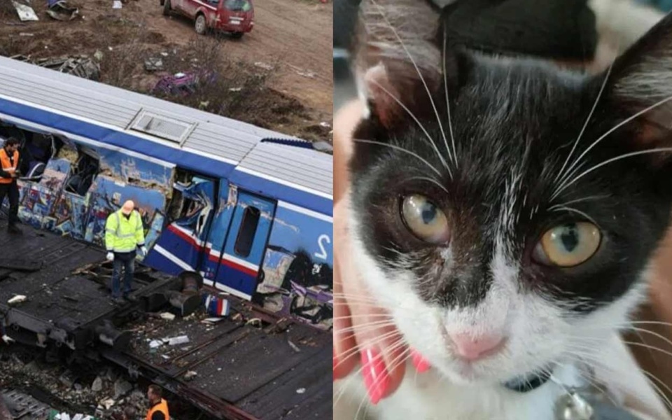 Τραγουδίστρια αναζητά γάτα που χάθηκε σε σύγκρουση τρένου – Τέμπη Miracle>