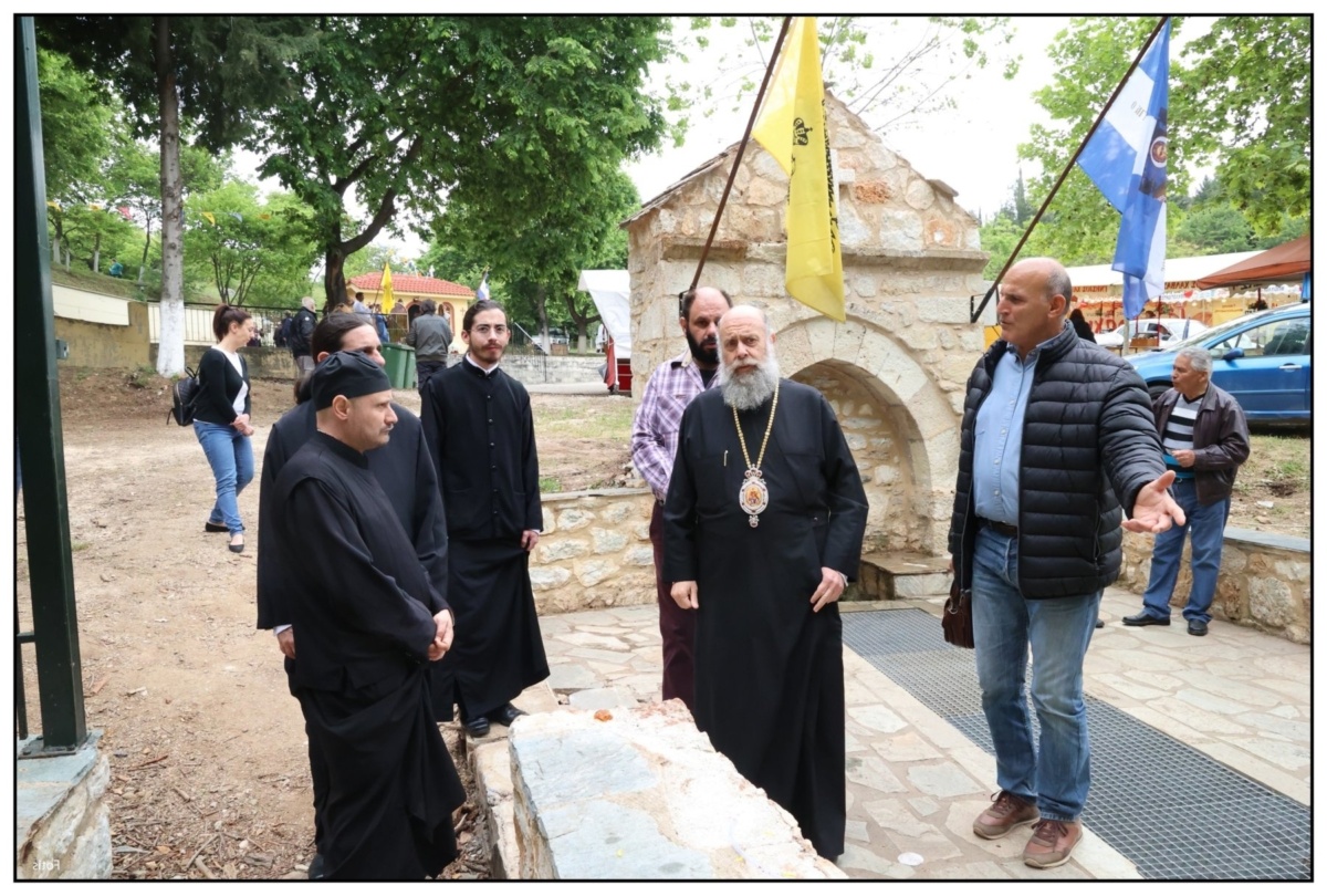 Θαυματουργό δέντρο: Το αίνιγμα του φαινομένου της αιμορραγίας αποκαλύπτεται