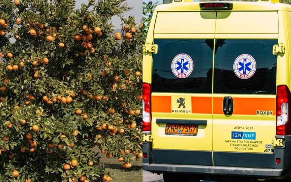 Τραγωδία της Πρωτομαγιάς: 83χρονος άνδρας πέθανε σε πτώση ενώ μάζευε φρούτα>