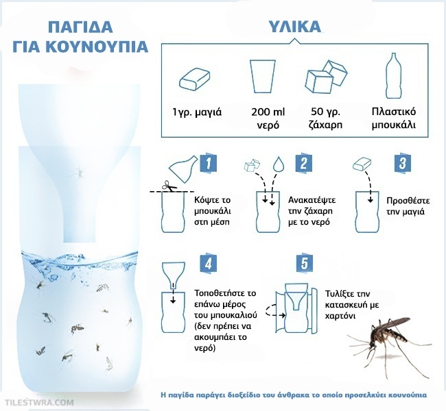 Αιθέρια έλαια, φυτά, λεμόνι και πολλά άλλα!: 10 έξυπνα κόλπα για να καταπολεμήσετε φυσικά τα κουνούπια