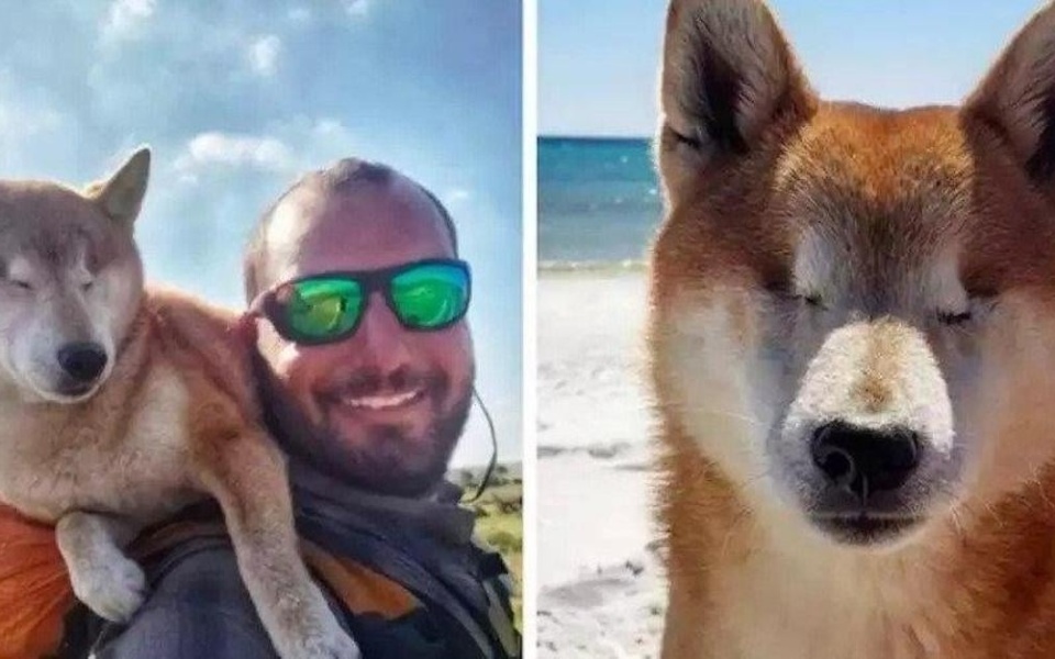 Ταξίδι ανθεκτικότητας: Βοηθώντας έναν τυφλό σκύλο να βρει χαρά σε μια διαδρομή 1.100 χιλιομέτρων>