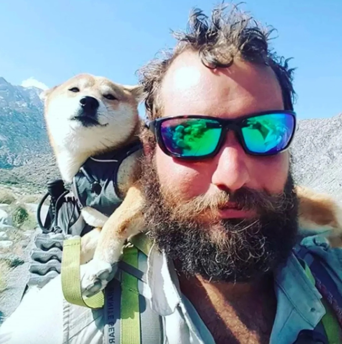 Ταξίδι ανθεκτικότητας: Βοηθώντας έναν τυφλό σκύλο να βρει χαρά σε μια διαδρομή 1.100 χιλιομέτρων